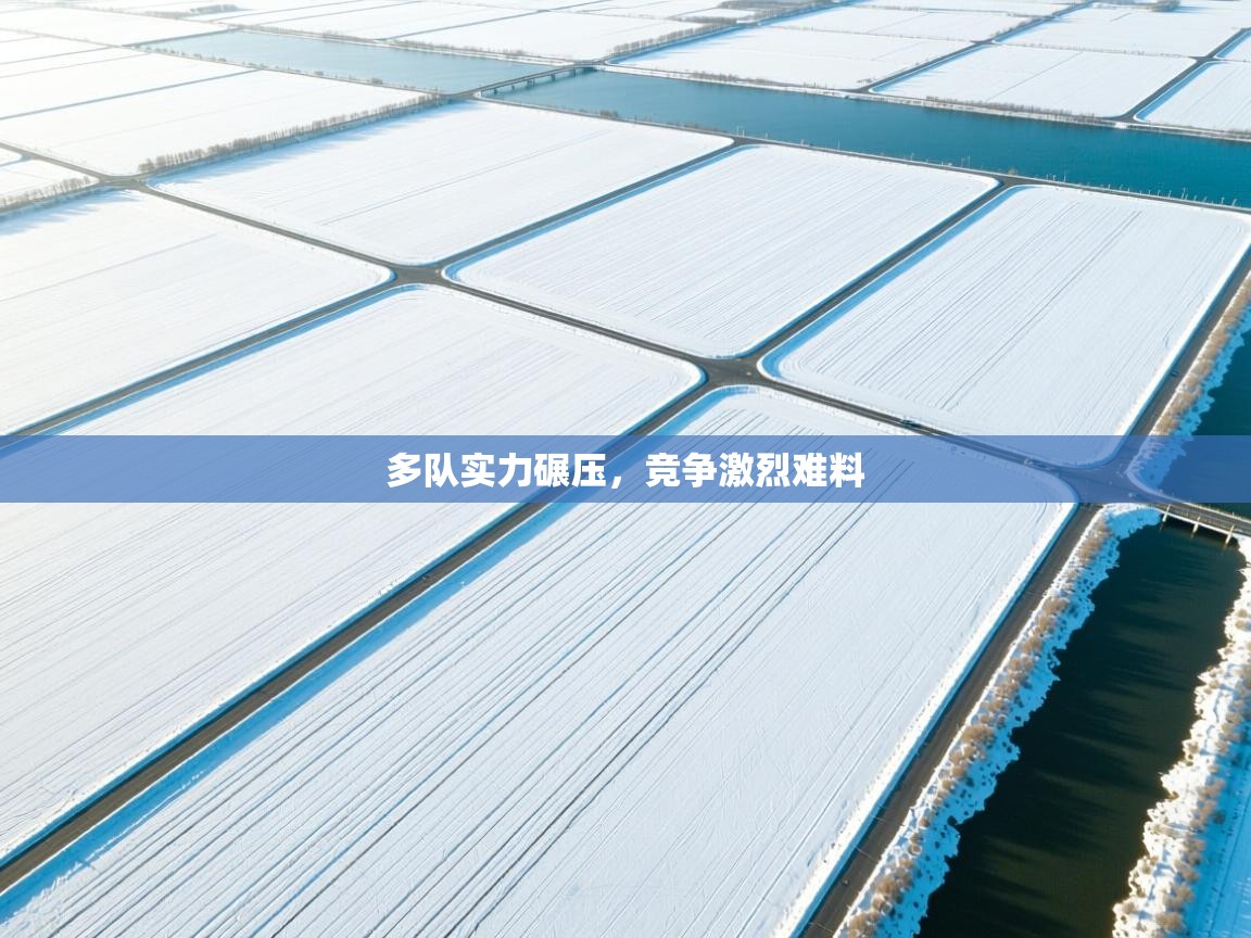 多队实力碾压,竞争激烈难料 第2张