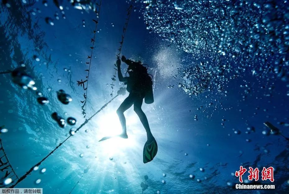 卢旺达跳水选手表现出色，令人印象深刻的简单介绍