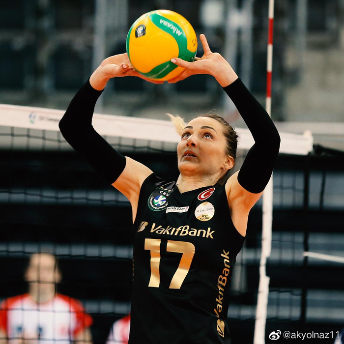 包含土耳其代表队勇夺金牌，壮志豪情的词条