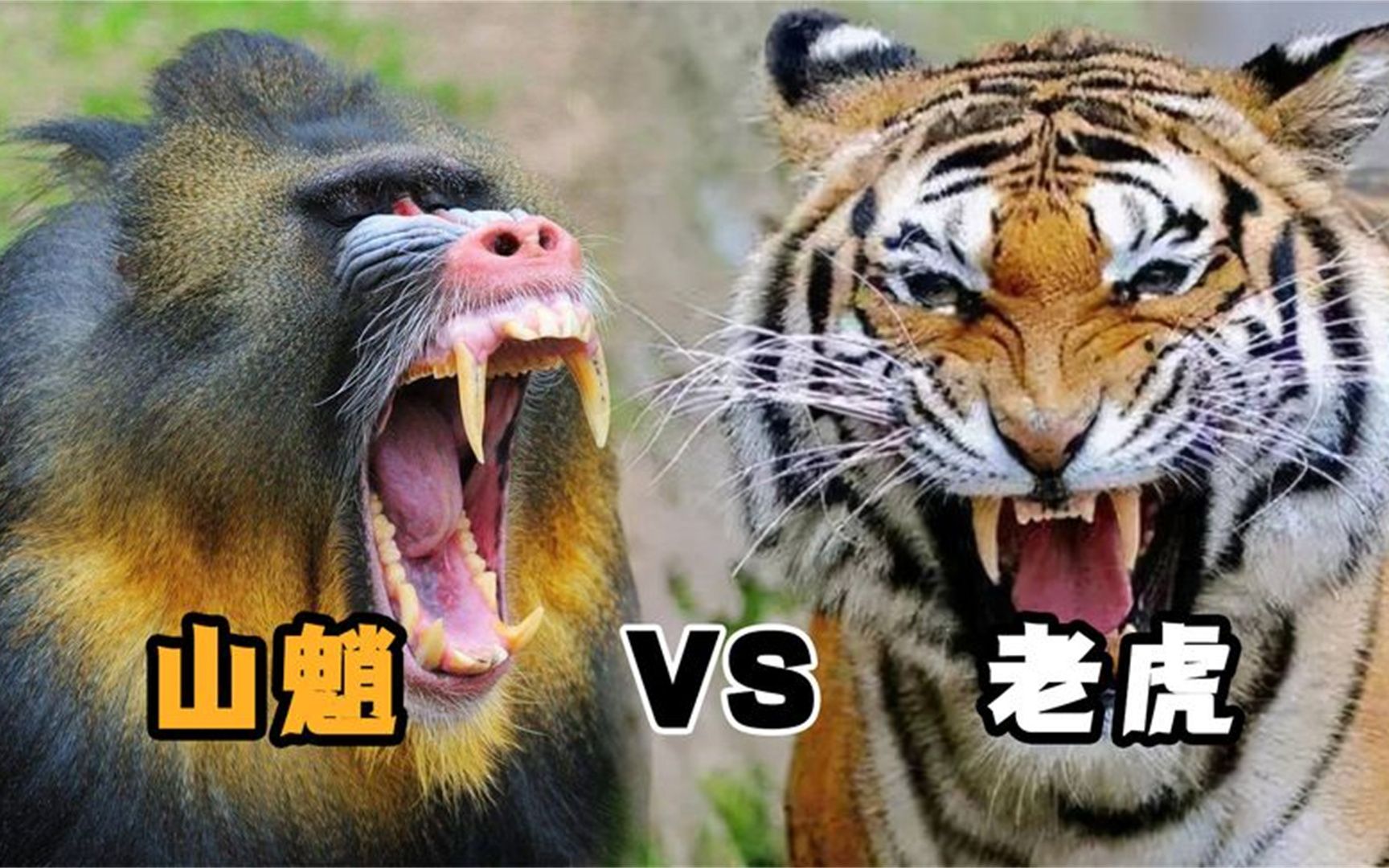 爱游戏体育官网-热刺客战伯恩茅斯，谁能笑到最后？的简单介绍